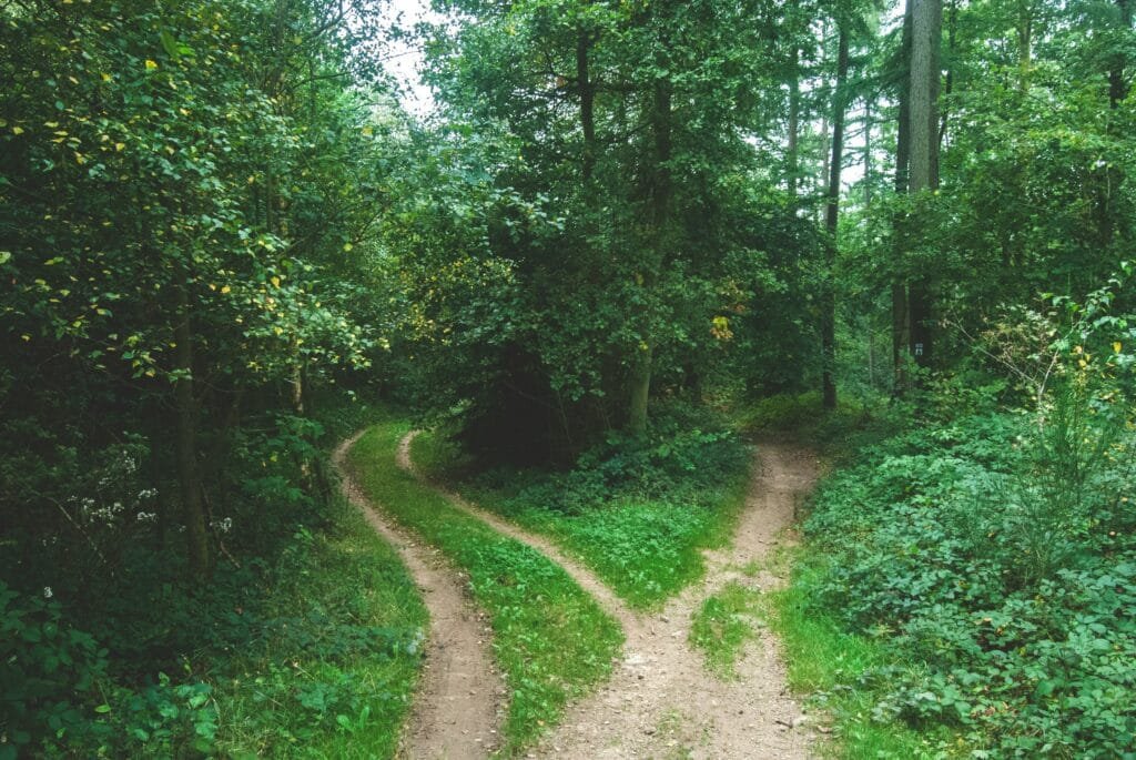 Two paths causing life changes